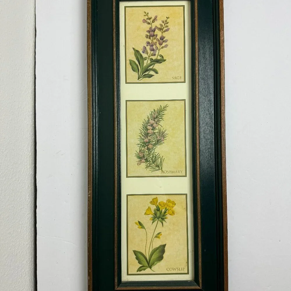 Vintage Country Style Picture Featuring Herbs Wall Decor Set of 2 Botanical ART